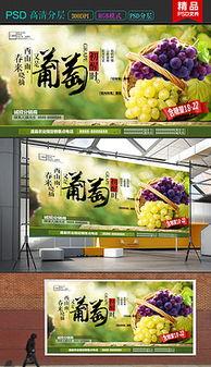 萄葡视频,带你领略葡萄酒世界的魅力与奥秘