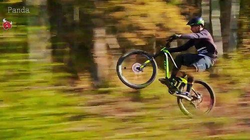 自行车速降视频