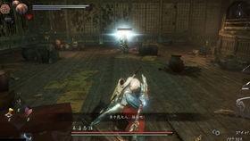 仁王视频攻略解说,深度解析视频解说，助你轻松通关