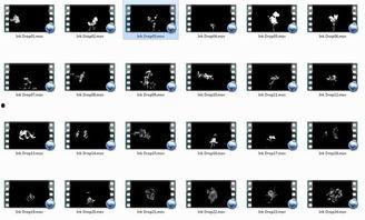 97视频538,热门视频背后的故事与魅力