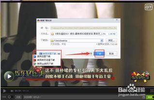 网络视频下载,畅享网络视频盛宴