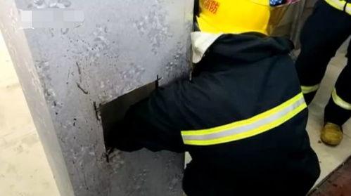 破柱视频,揭秘建筑结构极限挑战