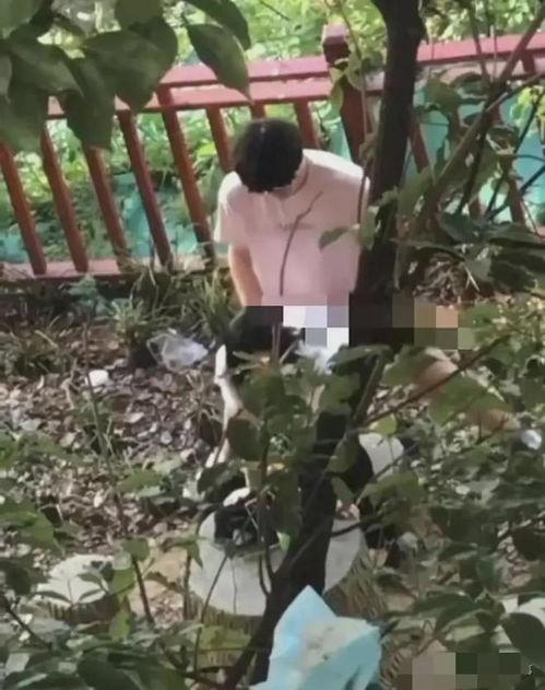 小树林不雅视频,小树林不雅视频引发社会热议