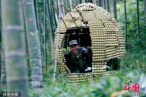日本高清情色视频,激情四溢的视觉盛宴
