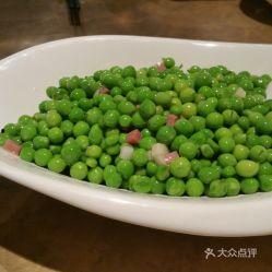 小豌豆视频,探索奇妙植物世界的奇妙之旅