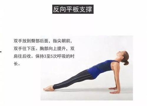 瑜伽拉伸动作视频,轻松解锁身体柔韧性