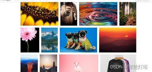 励志长视频,从励志长视频看奋斗的力量