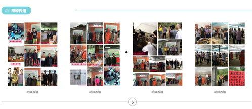 黄蜂养殖技术视频直播